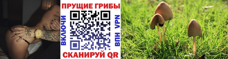 Псилоцибиновые грибы Magic Shrooms  Цоци-Юрт 